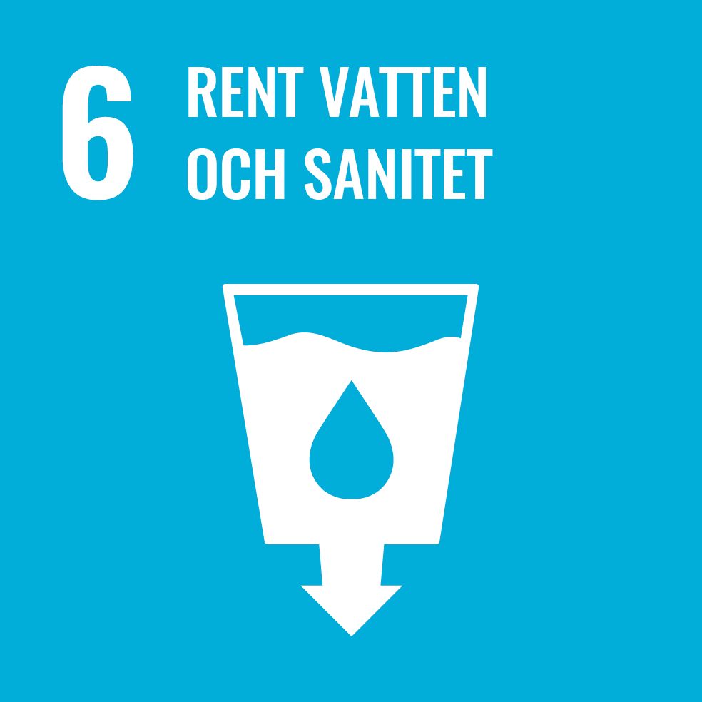 Rent vatten och sanitet