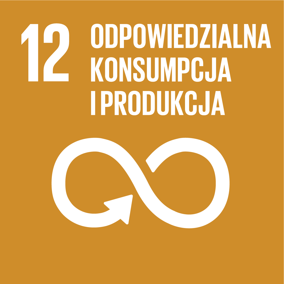 Odpowiedzialna konsumpcja i produkcja