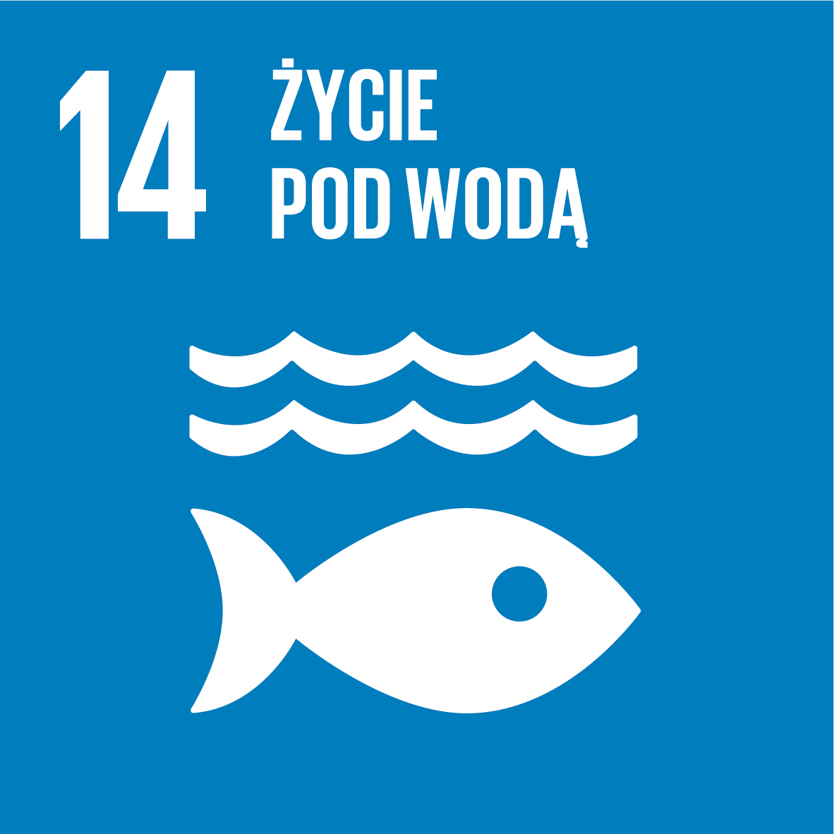 Życie pod wodą