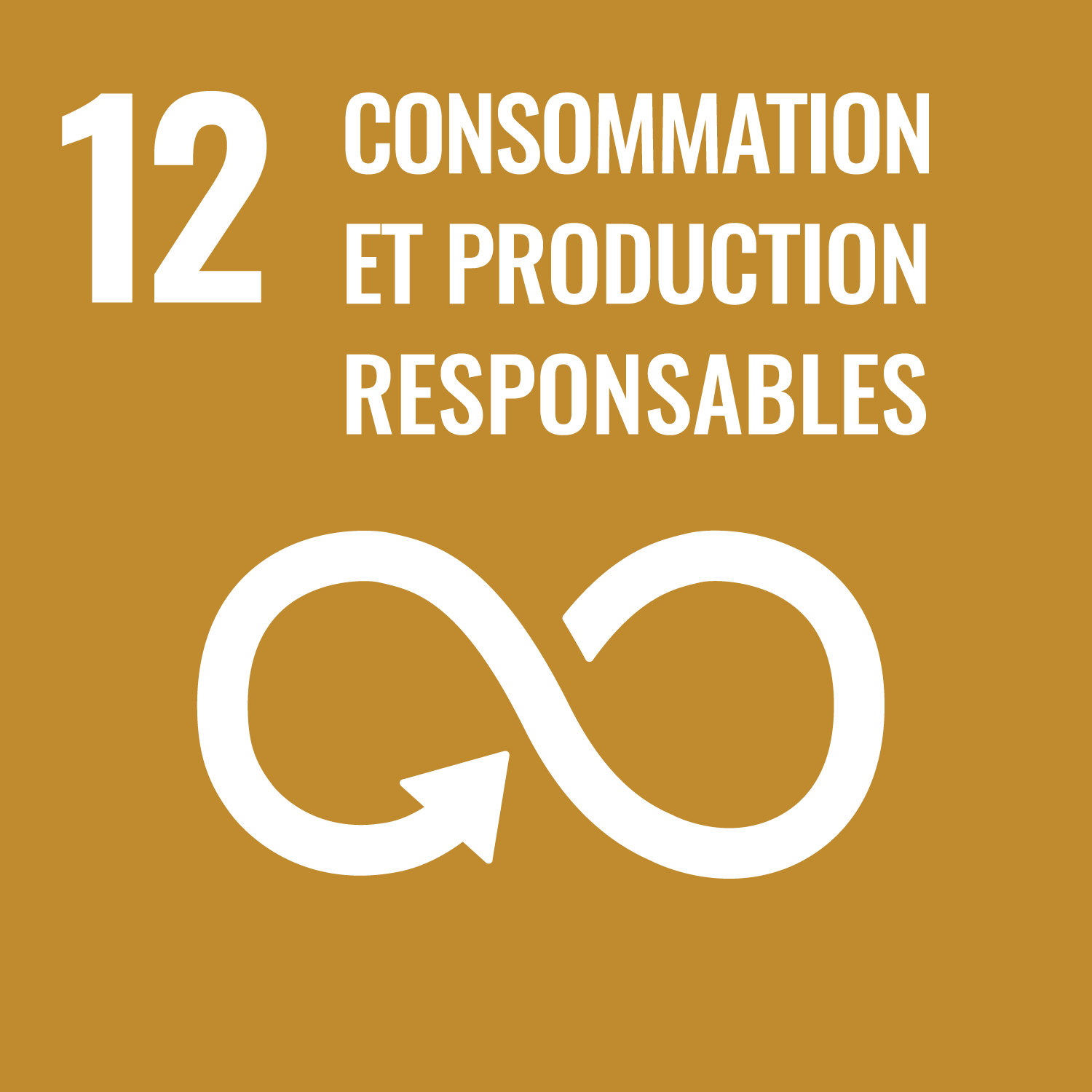 Consommation et Production responsables